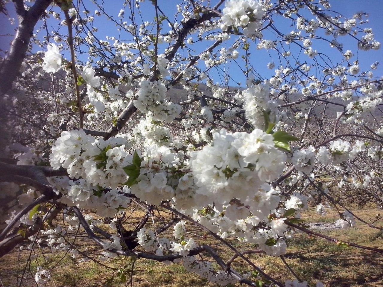 나바콘세호 La Antigua Tahona 아파트 외부 사진